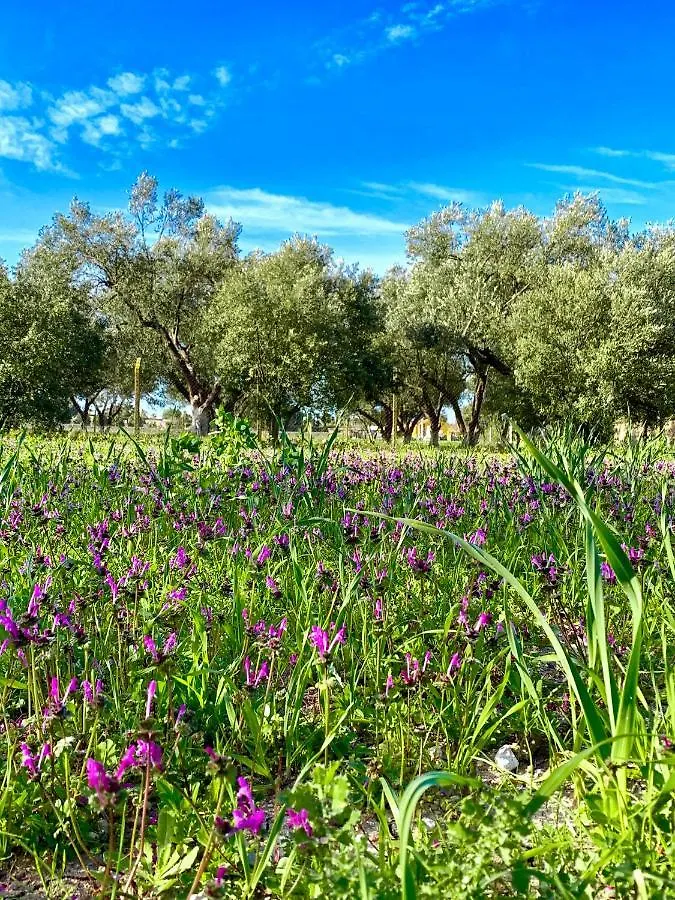 Alacati Barbarossa Hotel Çeşme
