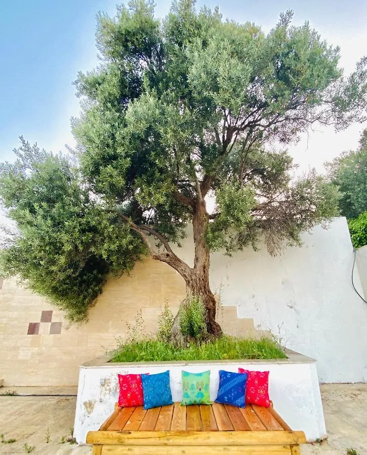 Alacati Barbarossa Hotel Çeşme