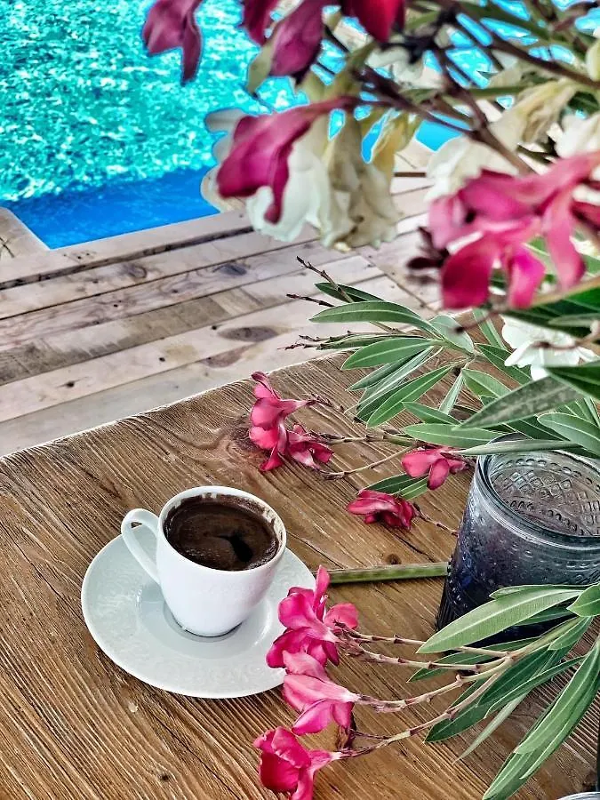 Alacati Barbarossa Hotel Çeşme تركيا